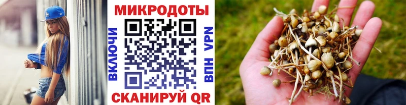 что такое наркотик  Кызыл  Галлюциногенные грибы прущие грибы 