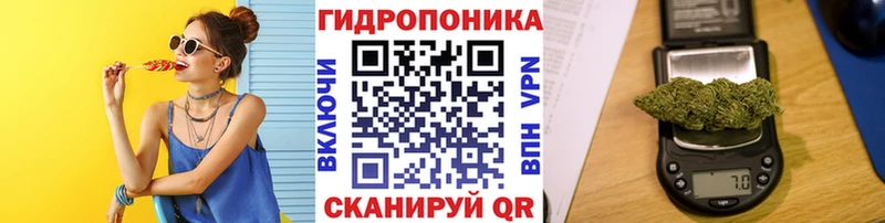Бошки марихуана тримм  мега зеркало  Кызыл  купить наркоту 